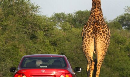 X-1R Makes Its Way To West Africa