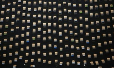 Damned If You Do, Damned If You Don’t