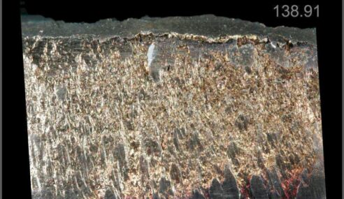 Rare Earth Refinery Supports Malaysia’s Car Plans. Er. Yay?