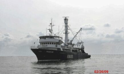 Bringing Home the Tuna