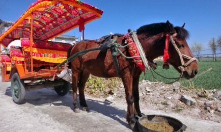 Baidu Plans Its Own Autonomous Car