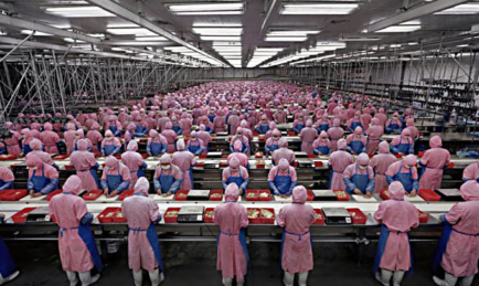 Foxconn To Build Battery Factory and Low-Cost EV