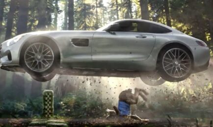 Mercedes Beaten By Tortoise