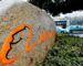 Alibaba Wants a Connected Car Too