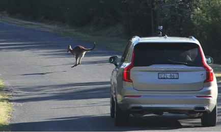 Volvo planning to avoid hopping hazards