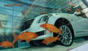 Cadillac CT6 dropped into a fishbowl