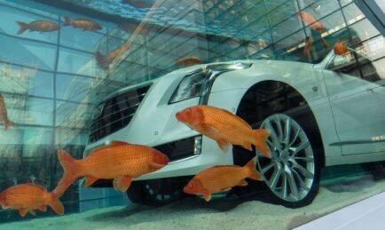 Cadillac CT6 dropped into a fishbowl