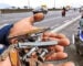 Malaysian Roads are riddled with Danger and…Animals Malaysian Roads are riddled with Danger and…Animals