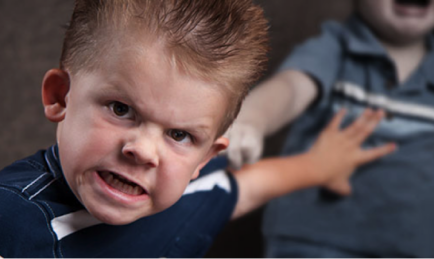 Please Don’t Bully Autonomous Cars