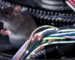 Cars are now Rat Food