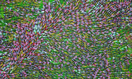 Is Bike-Sharing the Way to Go?