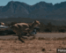 Electric Race Car vs the Fastest Animal on Earth. Who Wins?