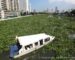 Pasig River Ferry: Another Solution to Manila’s Traffic Woes?