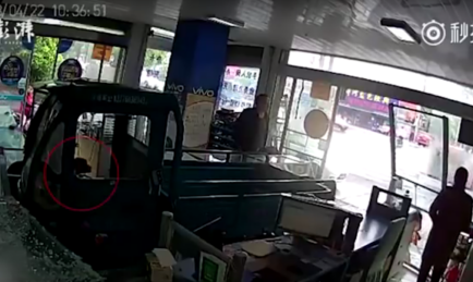 Dog Drives Electric Tricycle into Shop in China