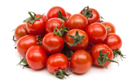 Introducing The New Ford Tomato