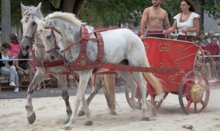 22 Weird Car Facts. Four of Them Involve Horses