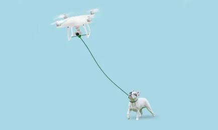Have You Droned Your Dog?