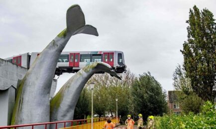 Whale Stops Runaway Train