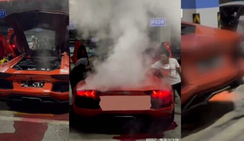 Panggang Daging ‘Kuda Pink’ Guna Ekzos Lamborghini? Dahsyat!
