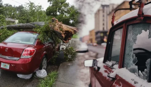 Is Your Vehicle Covered by Peril Insurance? What Is It? How Do I Get It?