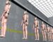 Why Good Crash Test Dummies Cost Over US$1 Million Each