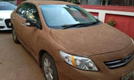 Is This the Best Car Wrap For Hot Weather? This Woman “Stinks” So
