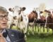 Bill Gates is Trying to Stop Cows Farting