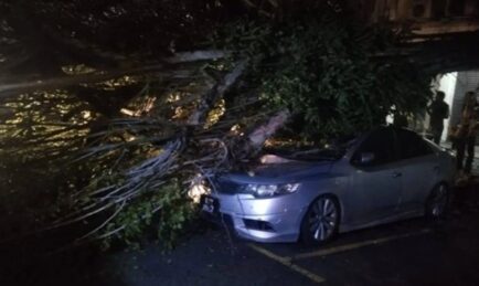 Mangsa Halang Bomba Alihkan Dahan Hempap Kereta Kerana Ingin Buat Tuntutan