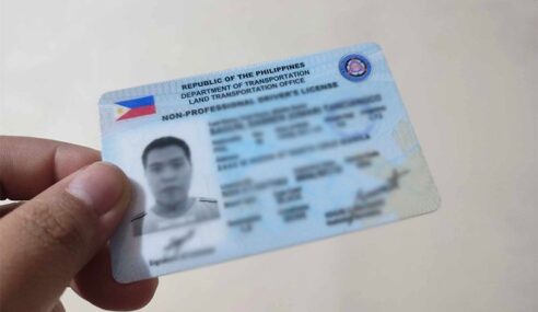 Saan napunta ang mga PLASTIC CARD LICENSES?
