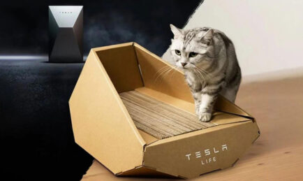Tesla Selling Cat Bed in China…Trouble Is, Looks A Little Fur-Milliar