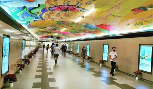 Where Is the Longest Pedestrian Underpass Network Situated?