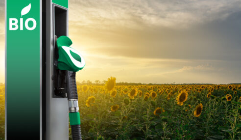 Could Bio-Fuels Replace Fossil Fuels Around the Globe?