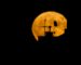 Audi and Vodaphone to Build Cell Phone Network on the Moon