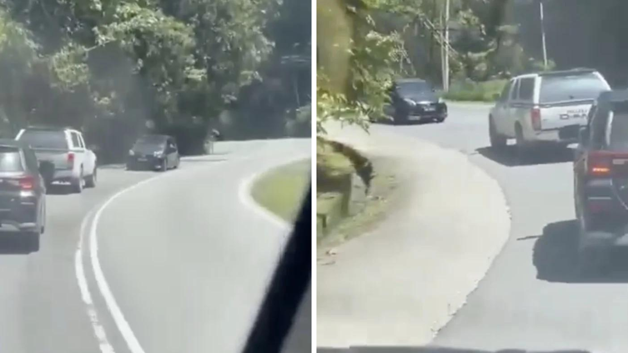 myvi