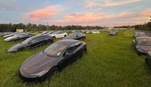 Hundreds of Tesla Model 3s Found Quizzically in Overgrown Lot in Florida