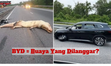 BUAYA MATI DILANGGAR BYD SEALION 6 HYBRID.