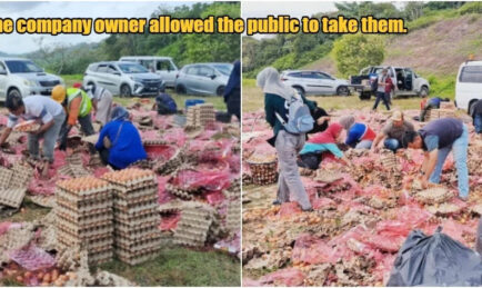 Lorry Carrying Eggs Overturns. Egg-stra Generous Owner Gives Them Away For FREE