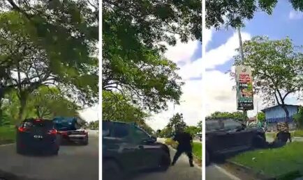 Dashcam Captures Hit-And-Run with Lorry Driver Before Fleeing, 73yo & 65yo Arrested