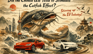 Did China Use Tesla to Trigger the Catfish Effect in Its EV Industry? And What on Earth Is the Catfish Effect Anyway?